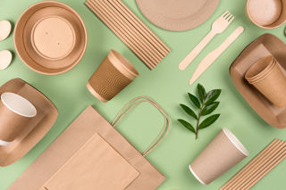 Recycled and biodegradable serving items